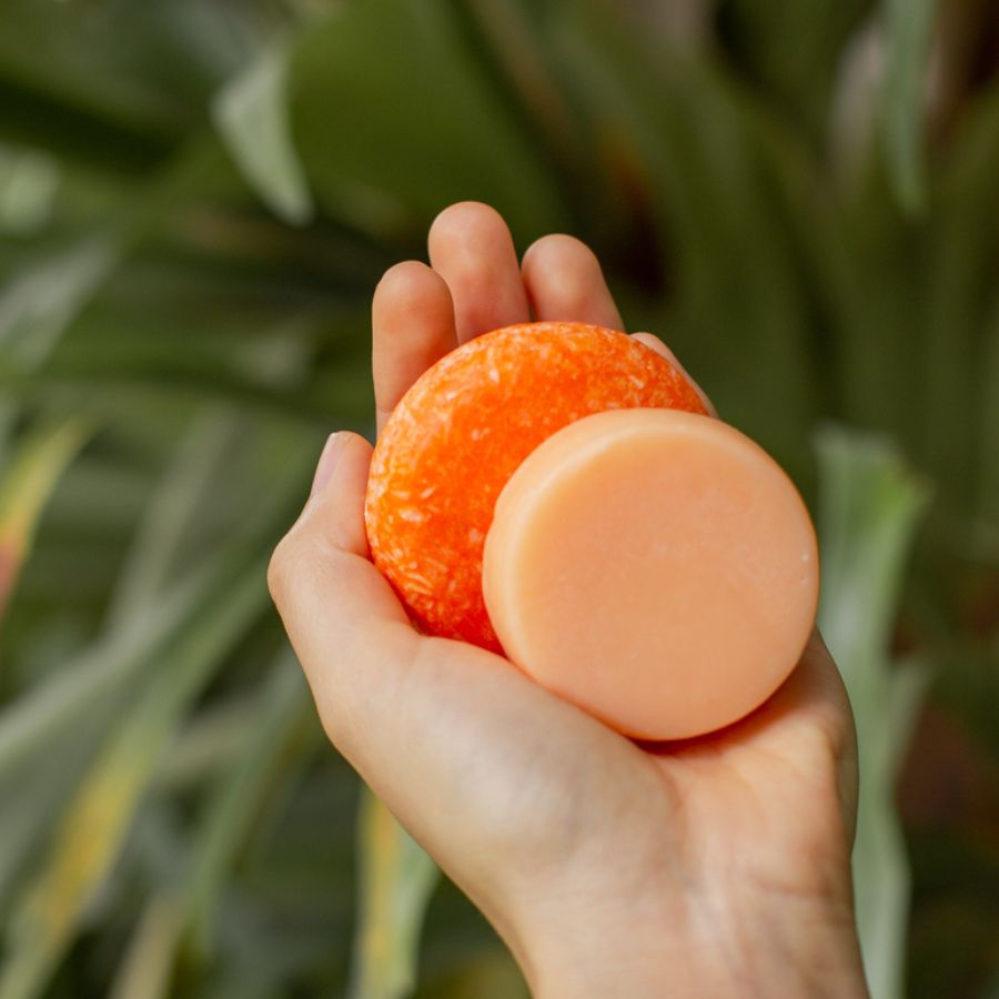 Pack OrangeBurst Refresh